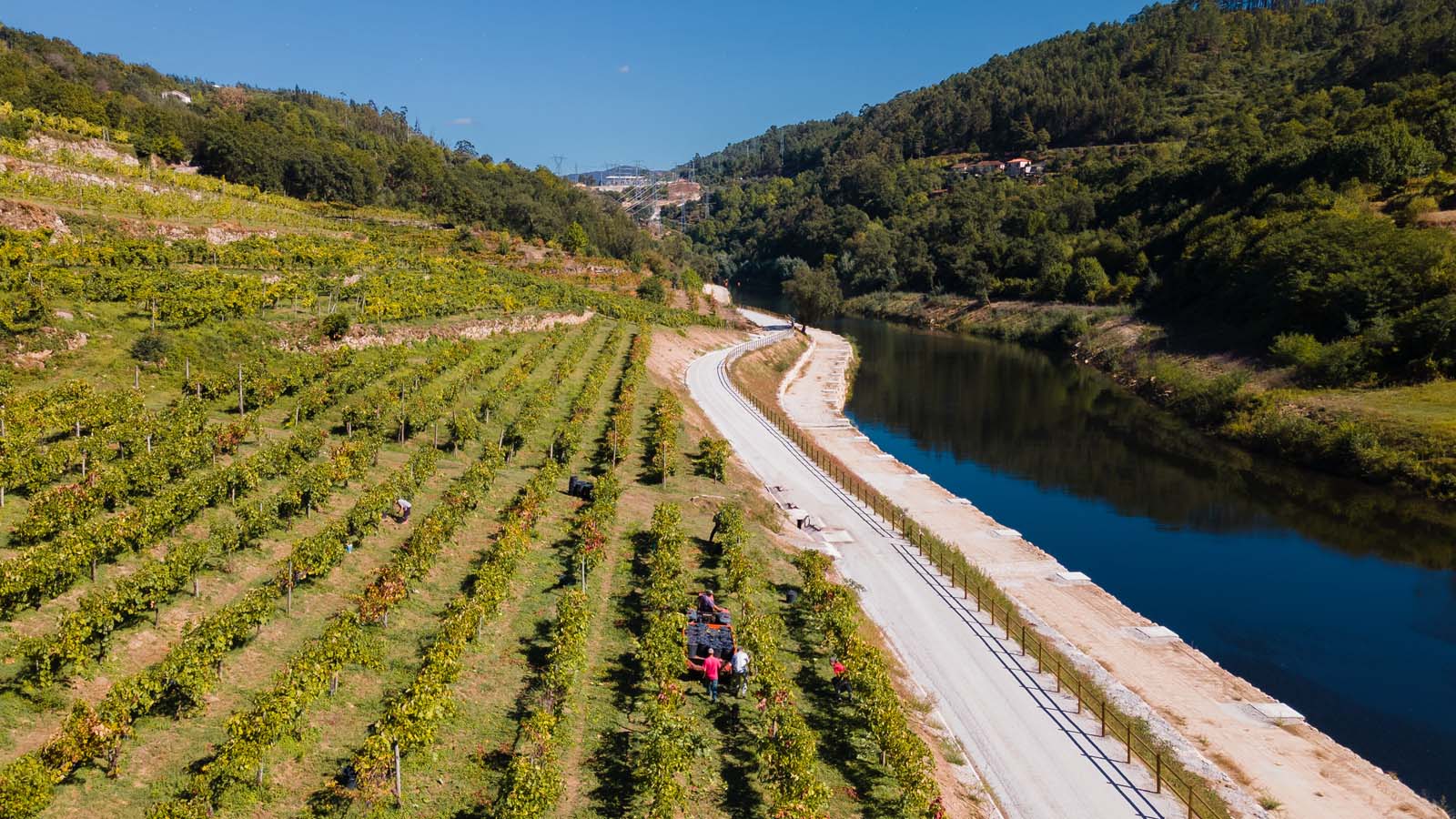 Quinta do Tapadinho 14