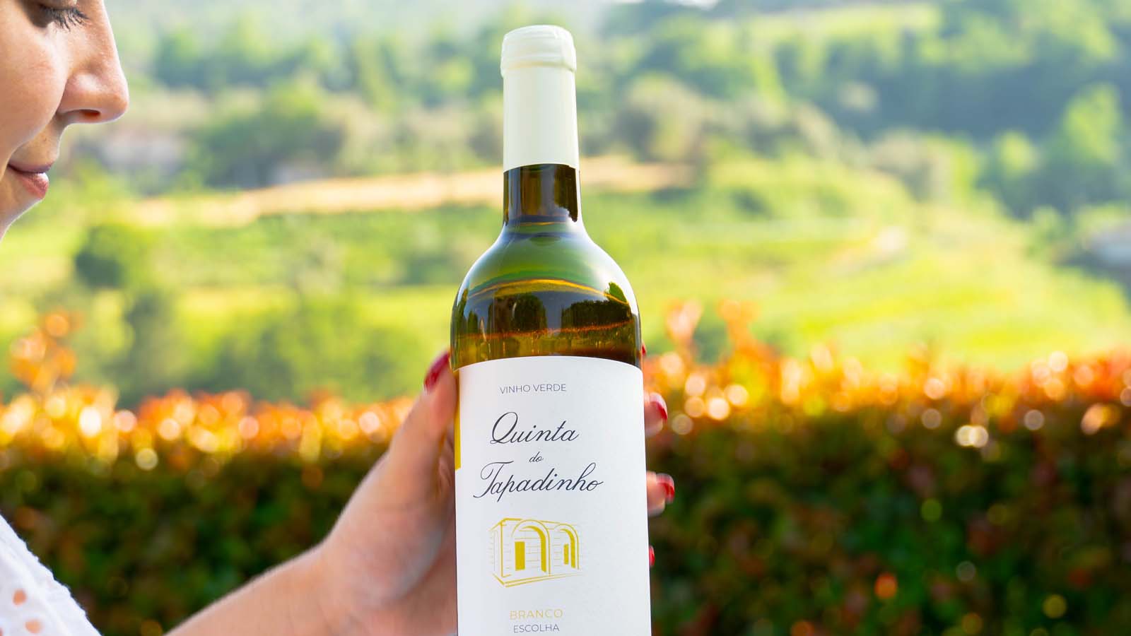 Vineyards 1