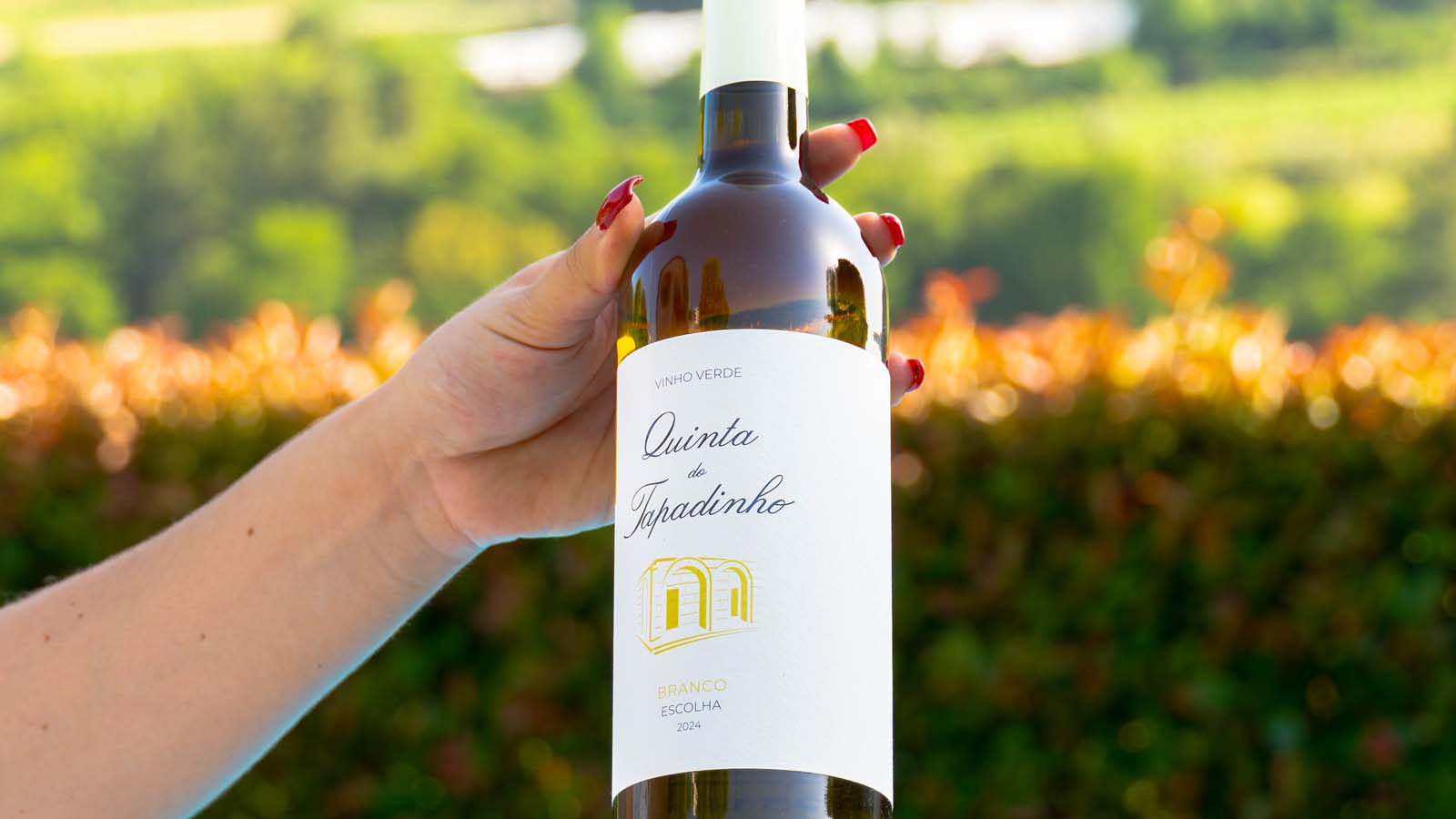 Vineyards 4