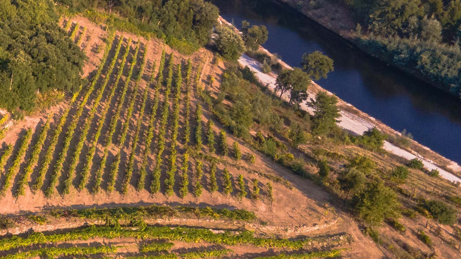 Quinta do Tapadinho 6