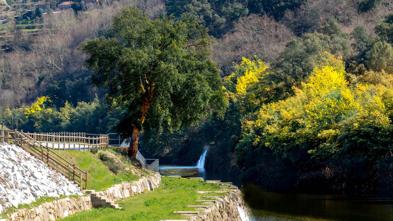 Natureza