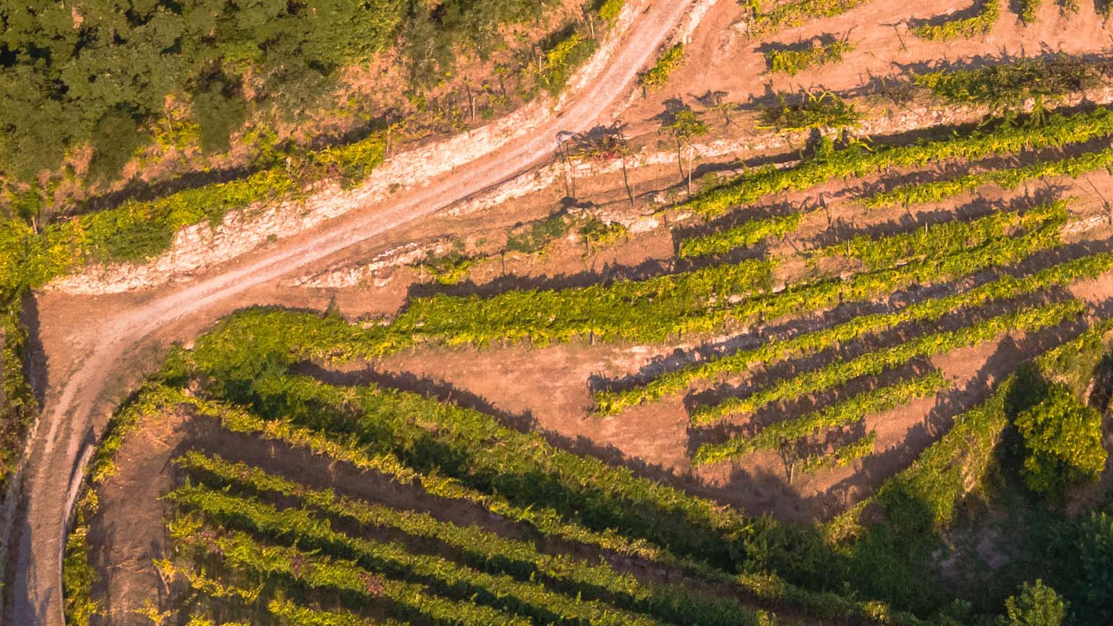 Quinta do Tapadinho 7