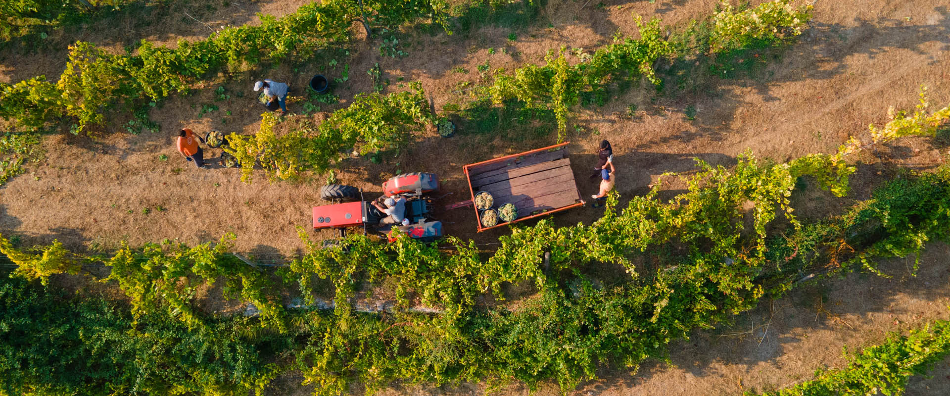 Quinta do Tapadinho - Photo 1