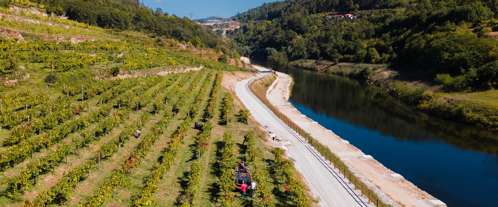 Quinta do Tapadinho 5