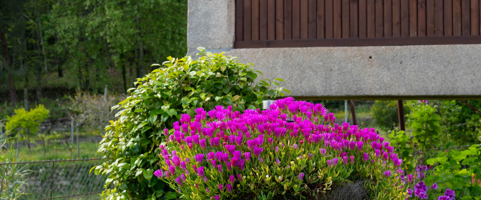 Quinta do Tapadinho - Photo 17