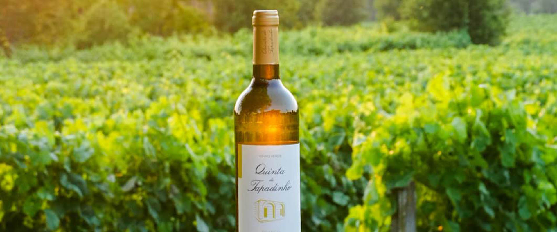 Quinta do Tapadinho - Photo 42