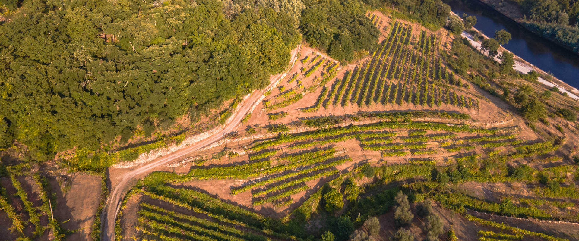 Quinta do Tapadinho - Photo 5